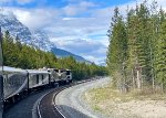 RMRX 8015 leading the westbound Rocky Mountaineer in the Selkirk range